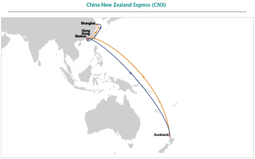 航线快讯！11月中旬，东方海外将新增一条新西兰直航服务CNX