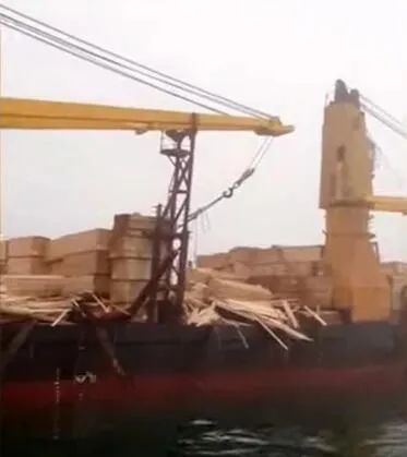 大量木材冲上海滩！一货船疑发生货物位移