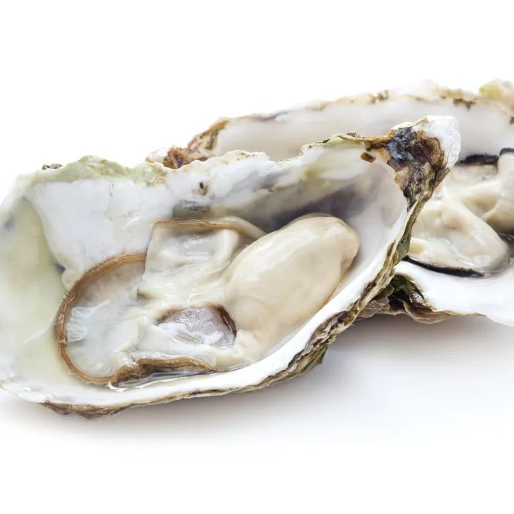 常见海鲜产品规范申报要素归纳