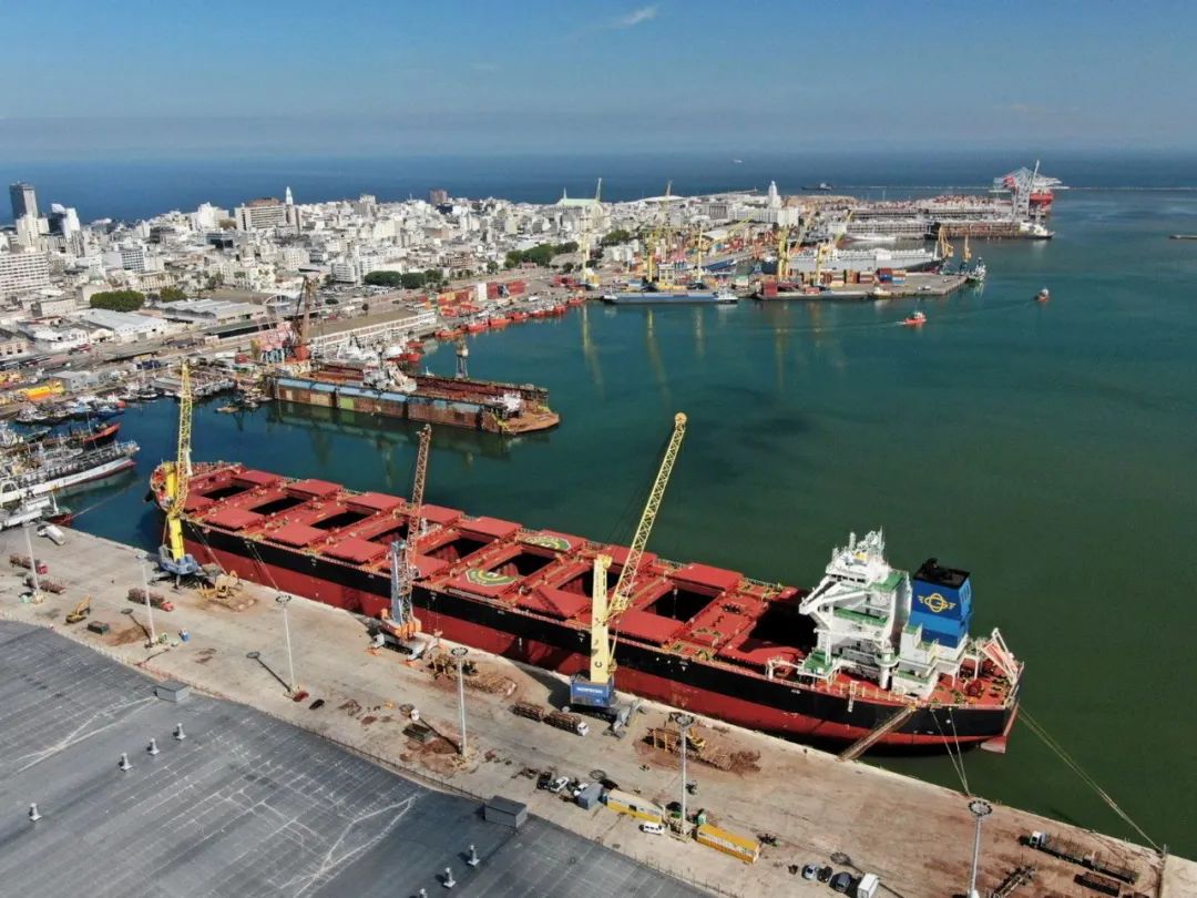 史上首次！20万吨级Newcastlemax大船装原木，6月即将抵达中国