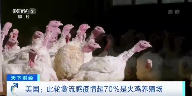 突发！90天，这国进入紧急状态！