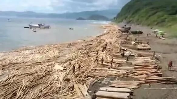大量木材冲上海滩！一货船疑发生货物位移